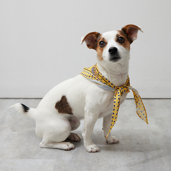 Numéro wang]クラシックトライアングルスカーフ | KOBUNSHA SELECT