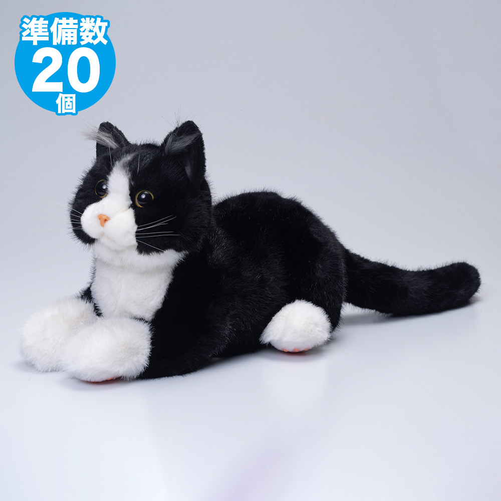 なでなでねこちゃんEX ハチワレちゃん | デアゴスティーニ公式