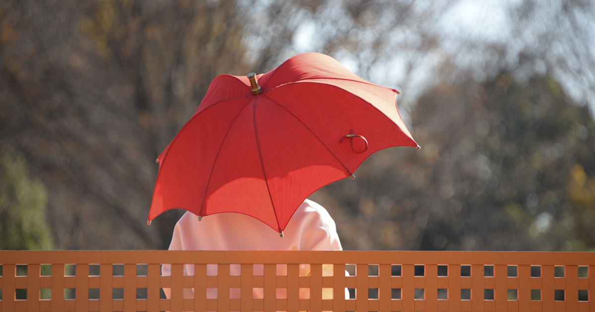 デザイナー ジョン ディチェザレによる、スタイリッシュな日傘