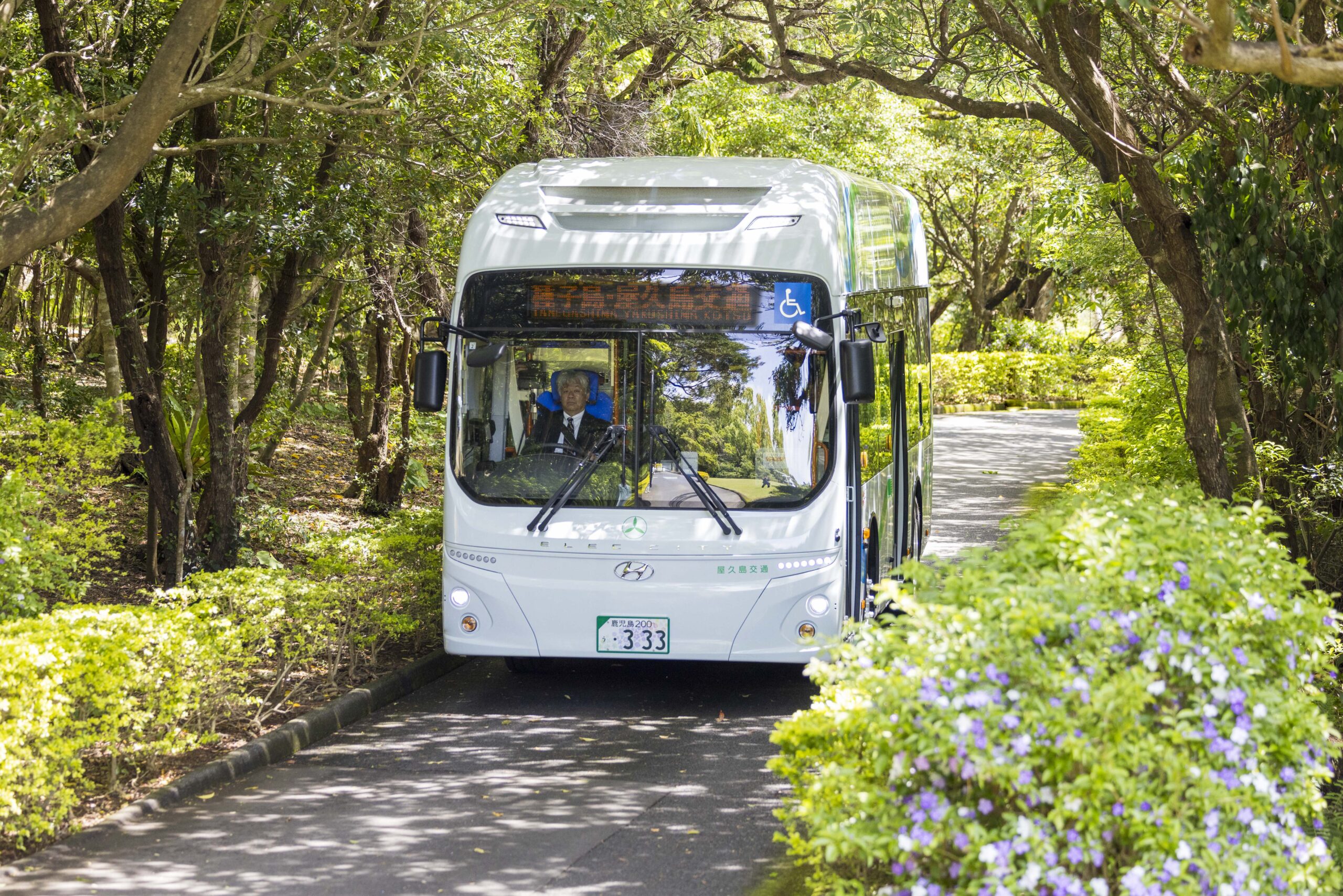 解説付き】屋久島の未来を変える！ヒョンデ電気バス「ELEC CITY TOWN