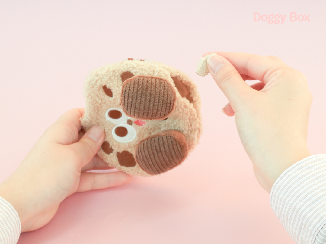 小型犬用Box – Doggy Box