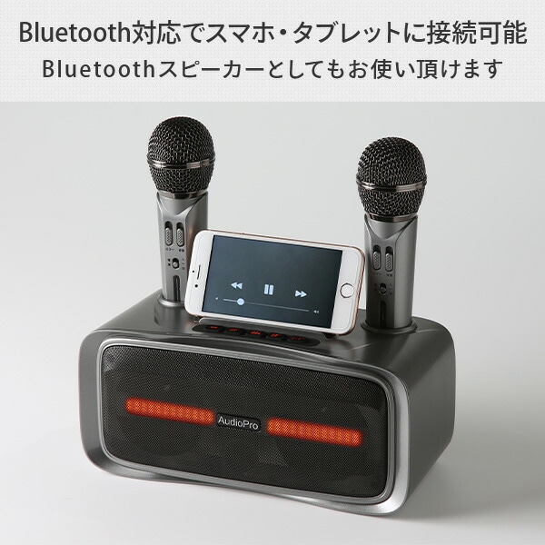 dショッピング |ワイヤレスマイクスピーカー マイク2本付き カラオケ