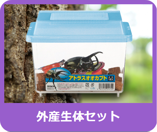 ぼくの宝箱 - 株式会社ミタニ