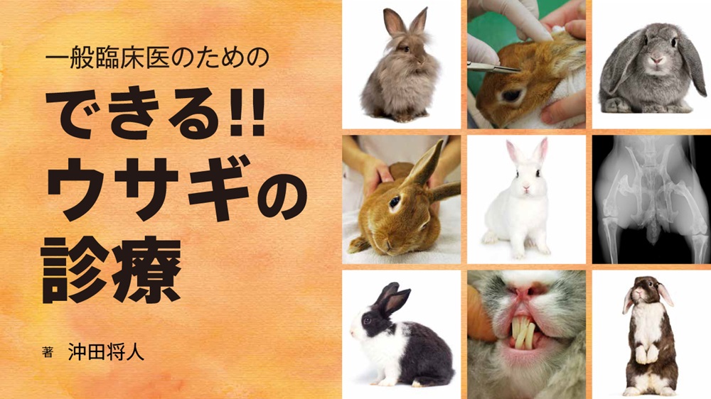 BOOK - ウサギ｜EDUWARD eBook