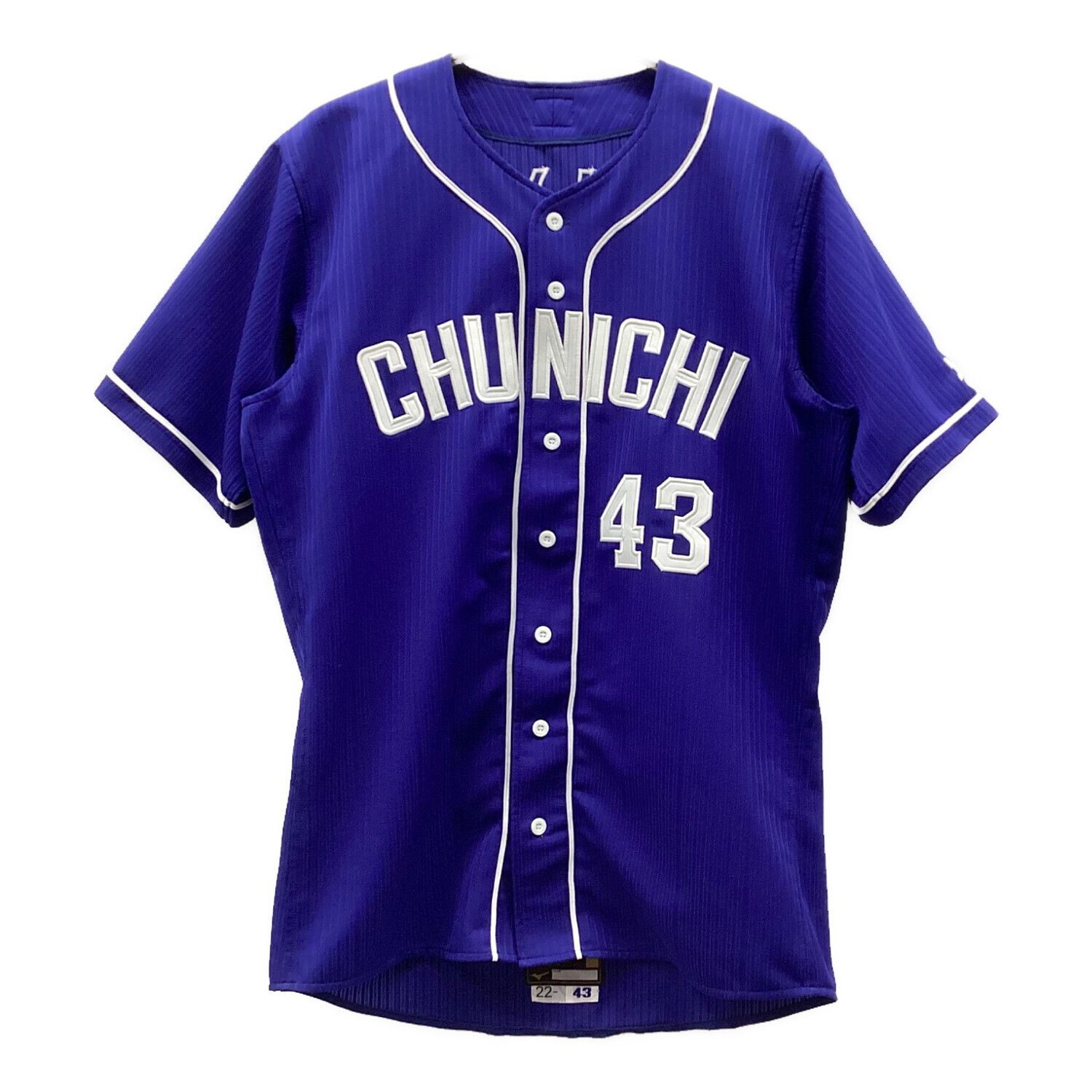 中日ドラゴンズ (チュウニチドラゴンズ) 応援グッズ 本人サイズ ブルー