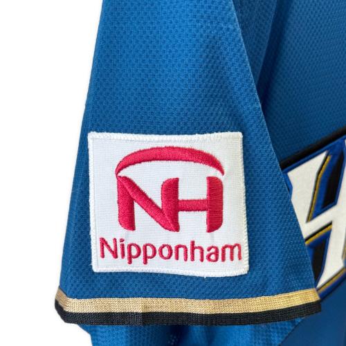 北海道日本ハムファイターズ (ホッカイドウニッポンハムファイターズ