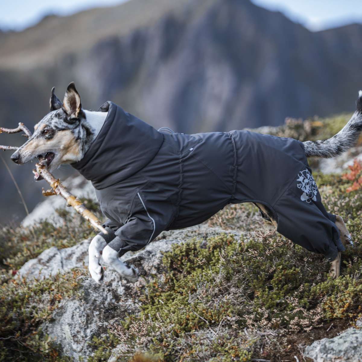 Hurtta フルッタ】エクストリームオーバーオール 35S/35M/40M/45M