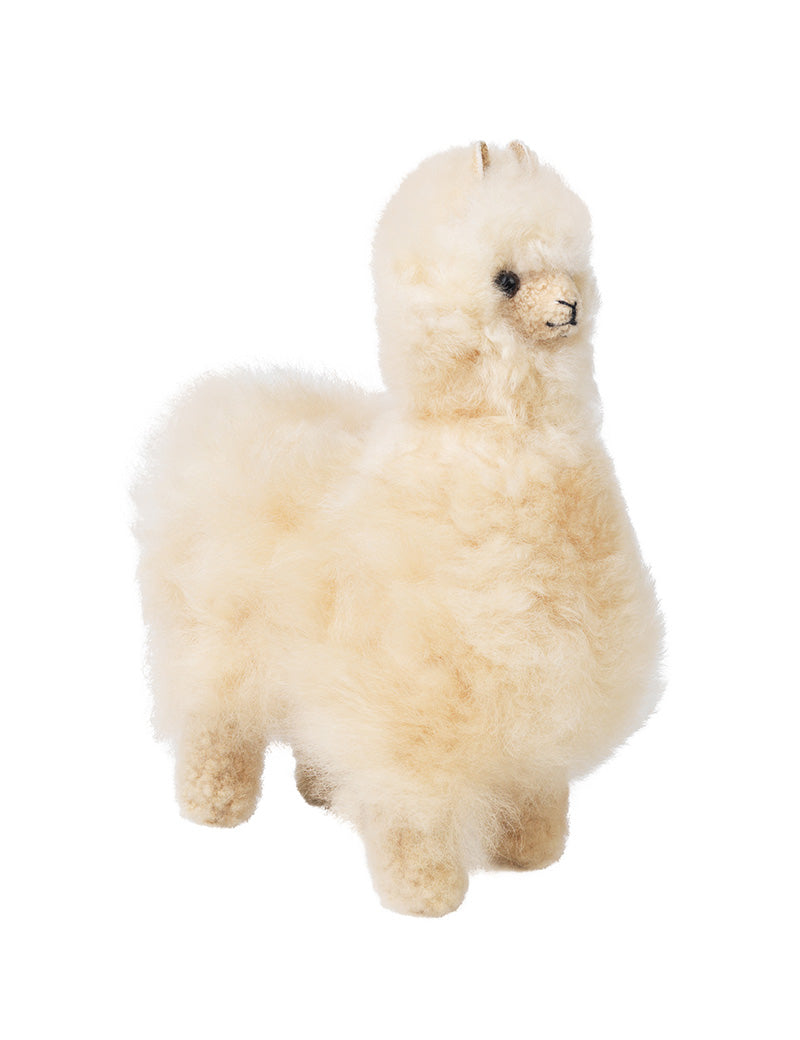 Alpaca Teddy – ELVANG JAPAN