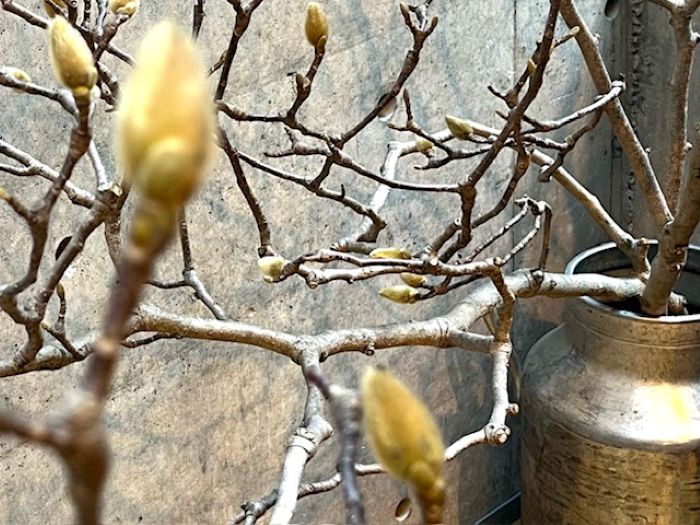 minä perhonen 2025AW Vol.7/ 9.13(sat) – en-inc.