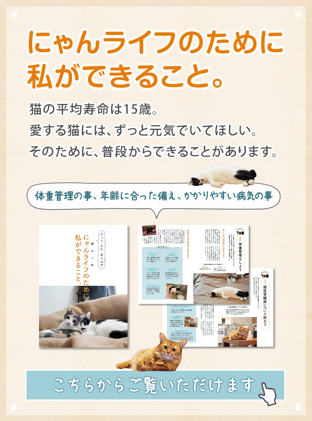 エネアラ（ENeALA）【公式】ペット（犬・猫）用 5-ALA配合サプリメント