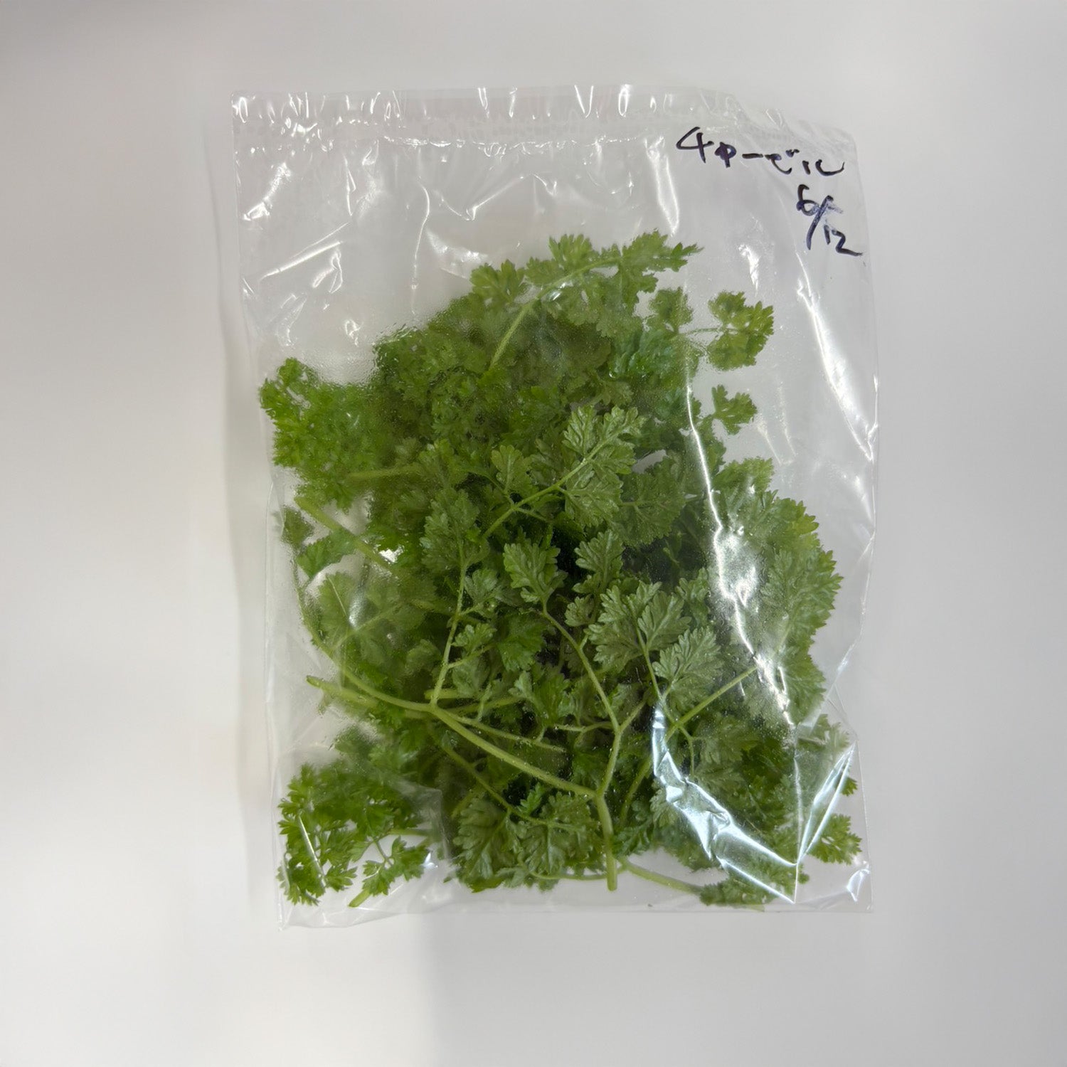 パセリ – Future farm Den園