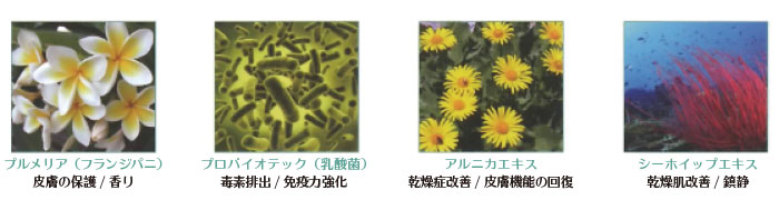 クリスティーナ】アンストレス 初回導入セット | 業務用美容・エステ