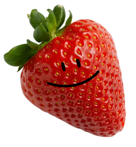 Special Smiles Day - Florida Strawberry Festival