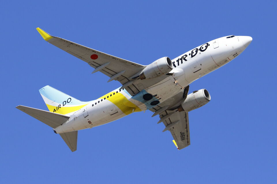 AIRDO Boeing737-700 1/100 S115322369 - 航空機・ヘリコプター美品·照り良