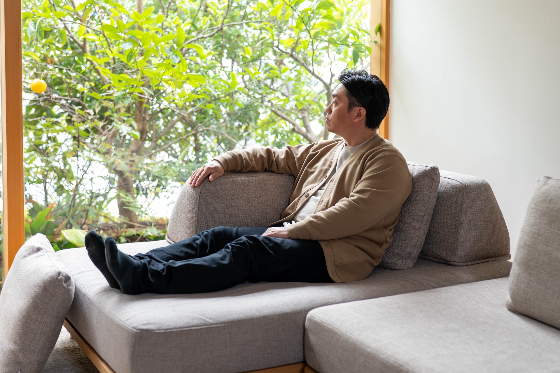 無駄のないソファ - オーナーとペットの境界のない暮らしを、ソファ