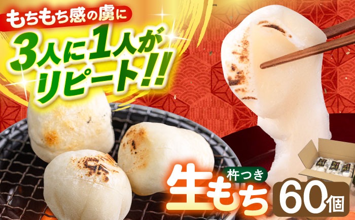 築上町産 本格 杵つき 生もち 60個 (10個×6パック)《築上町》【アルク